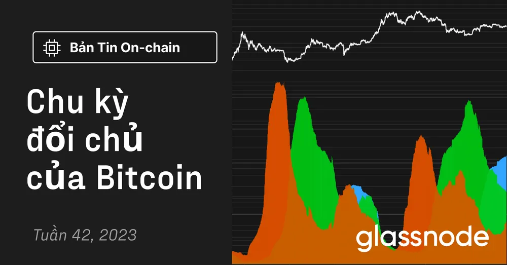 Chu kỳ đổi chủ của Bitcoin