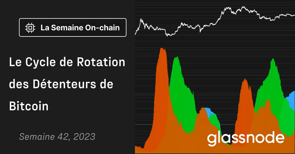 Le Cycle de Rotation des Détenteurs de Bitcoin