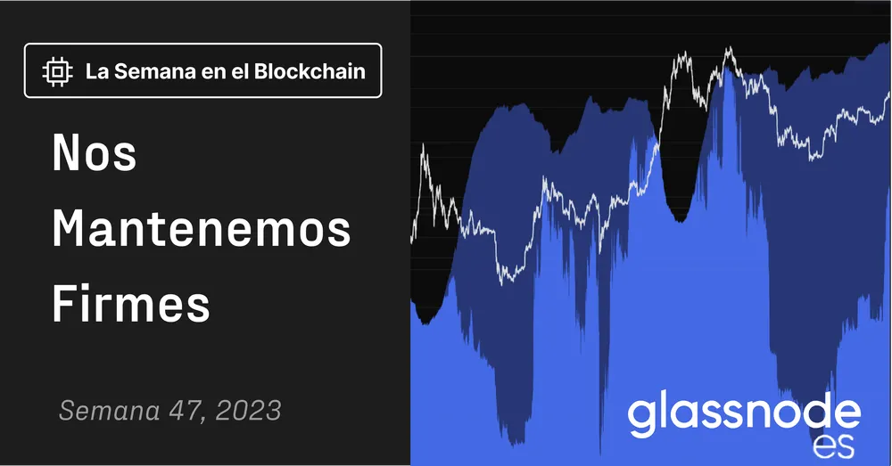 Nos Mantenemos Firmes