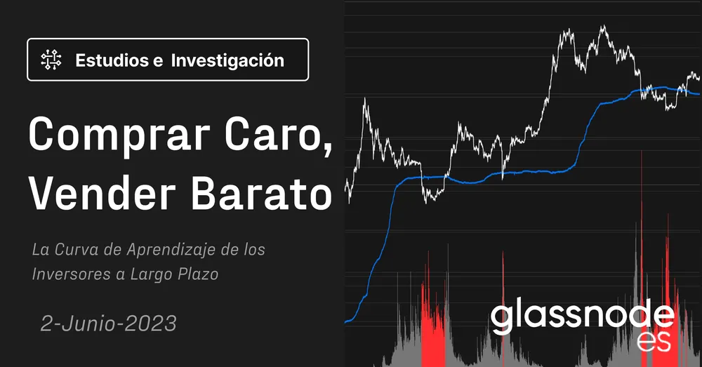 Comprando Caro y Vendiendo Barato: La Curva de Aprendizaje del Inversor a Largo Plazo
