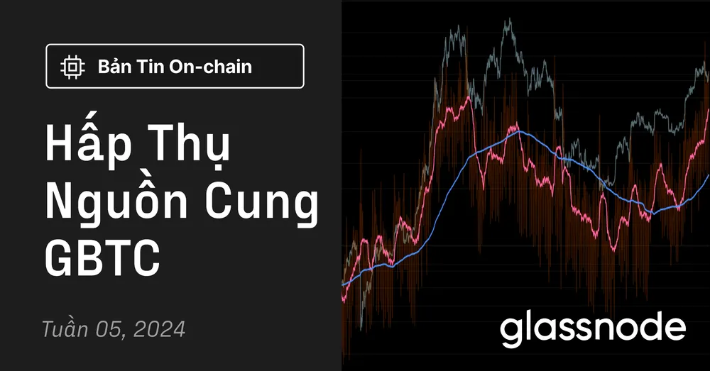 Hấp Thụ Nguồn Cung GBTC