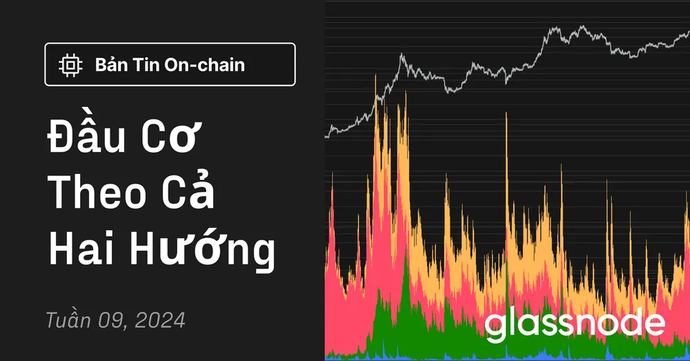 Đầu Cơ Theo Cả Hai Hướng