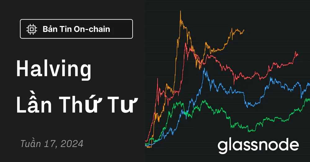 Halving Lần Thứ Tư