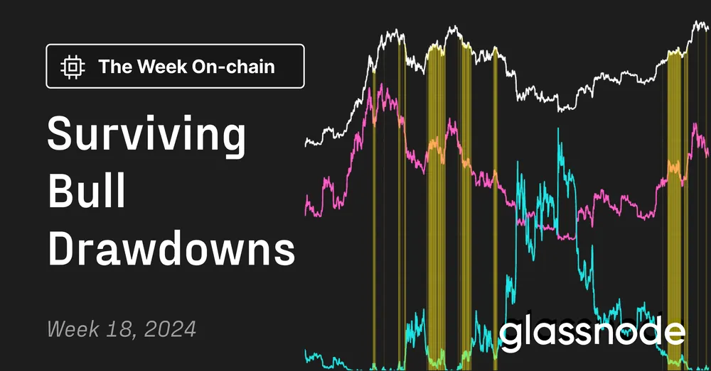 Surviving Bull Drawdowns