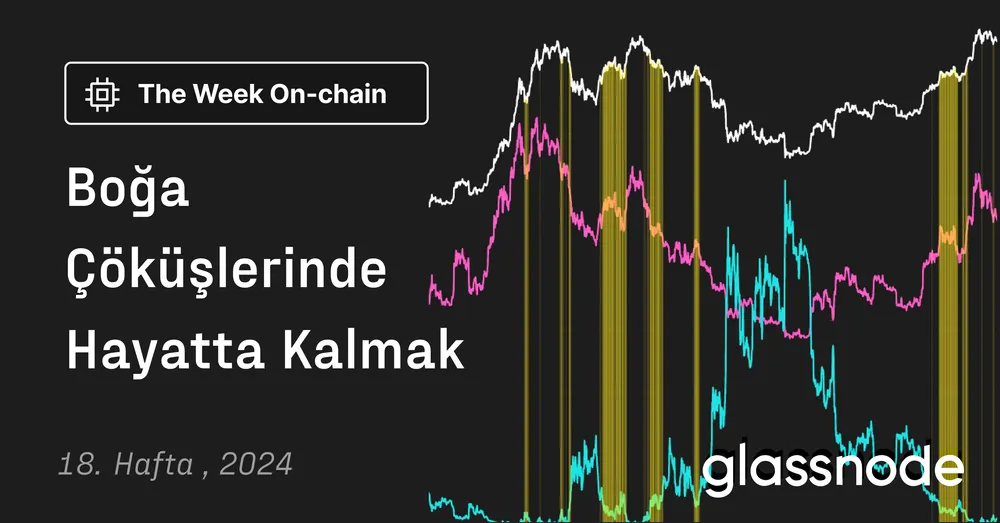 Boğa Çöküşlerinde Hayatta Kalmak