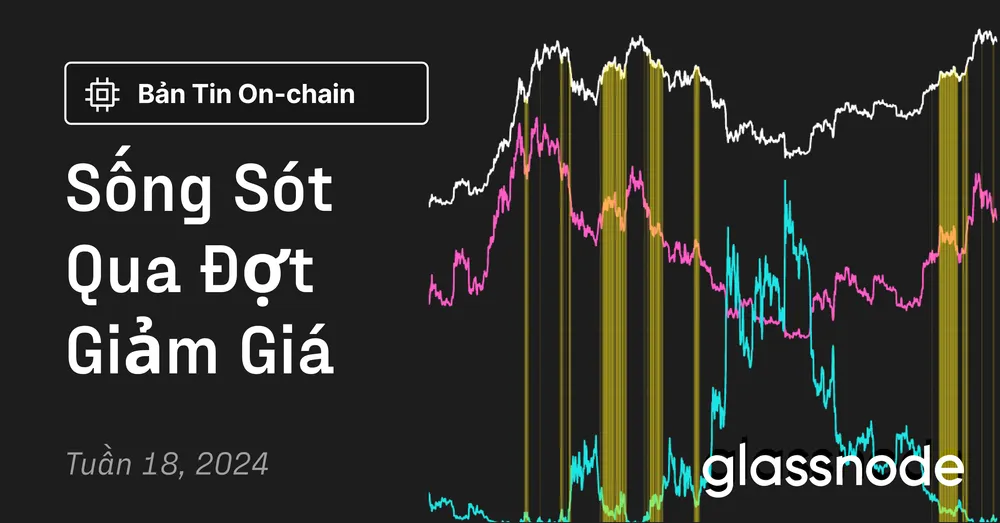 Sống Sót Qua Các Đợt Giảm Giá