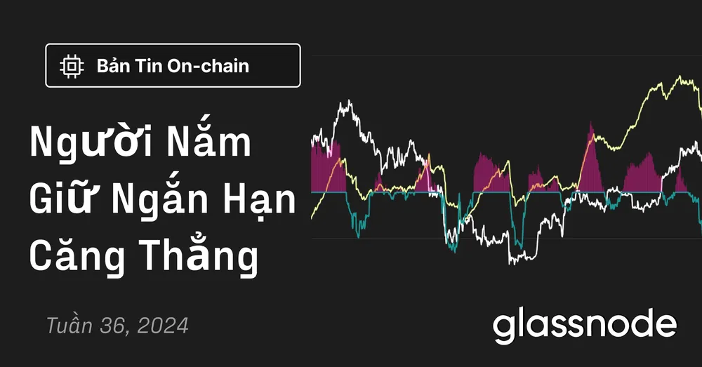 Người Nắm Giữ Ngắn Hạn Căng Thẳng