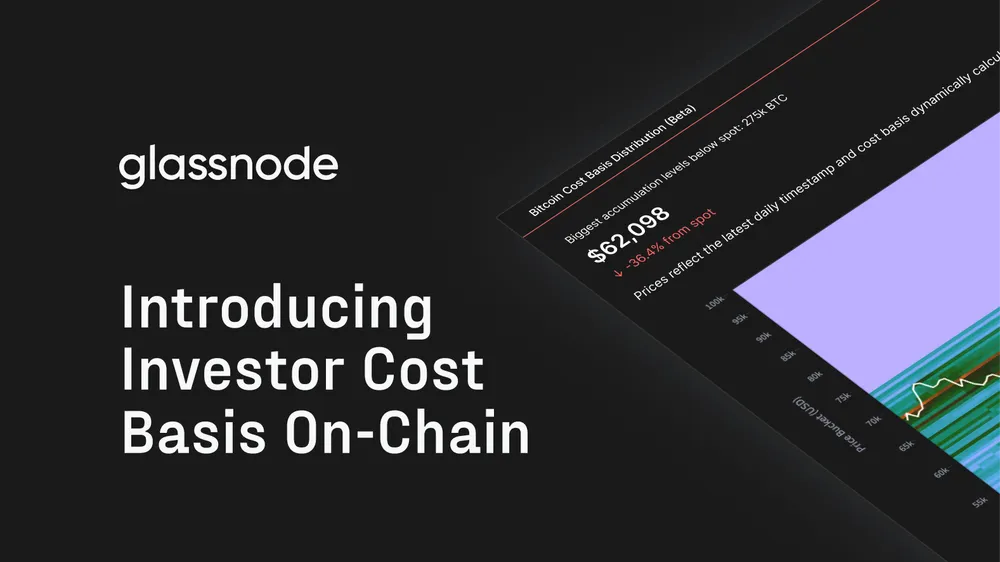 Introducing Investor Cost Basis On-Chain