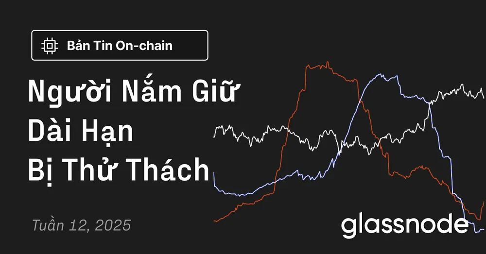 Người Nắm Giữ Dài Hạn Bị Thử Thách