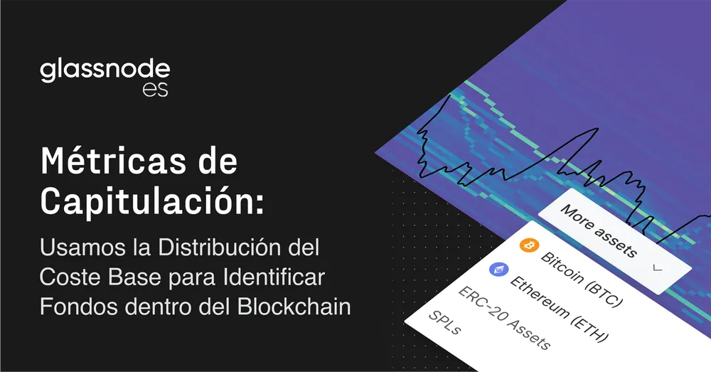 Métricas de Capitulación: Usamos la Distribución del Coste Base para Identificar Suelos Dentro del Blockchain