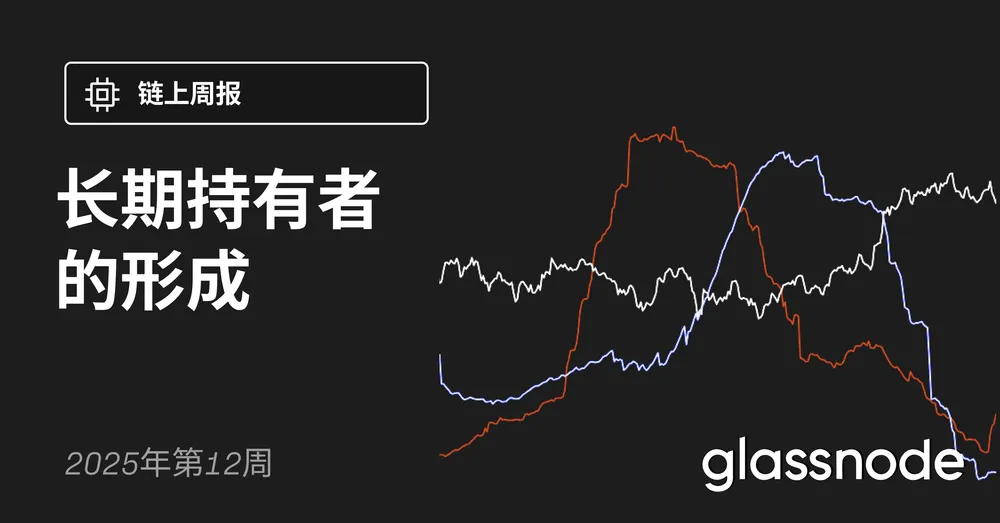 长期持有者的形成