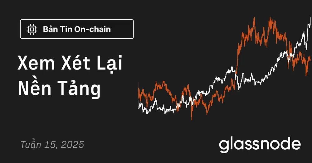 Xem Xét Lại Nền Tảng