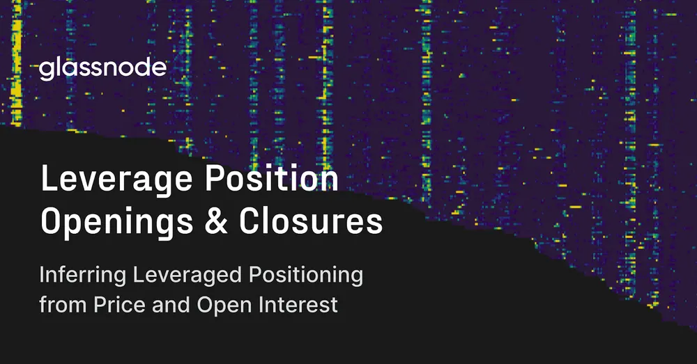 Inferring Leveraged Positioning from Price and Open Interest