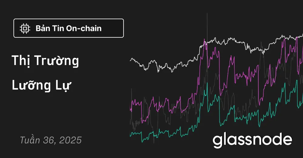 Thị Trường Lưỡng Lự