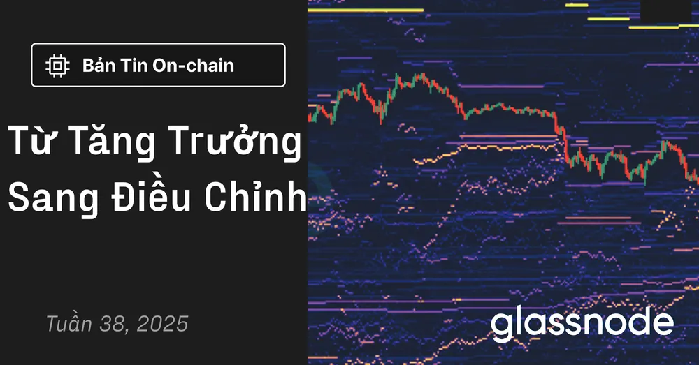 Từ Tăng Trưởng Sang Điều Chỉnh