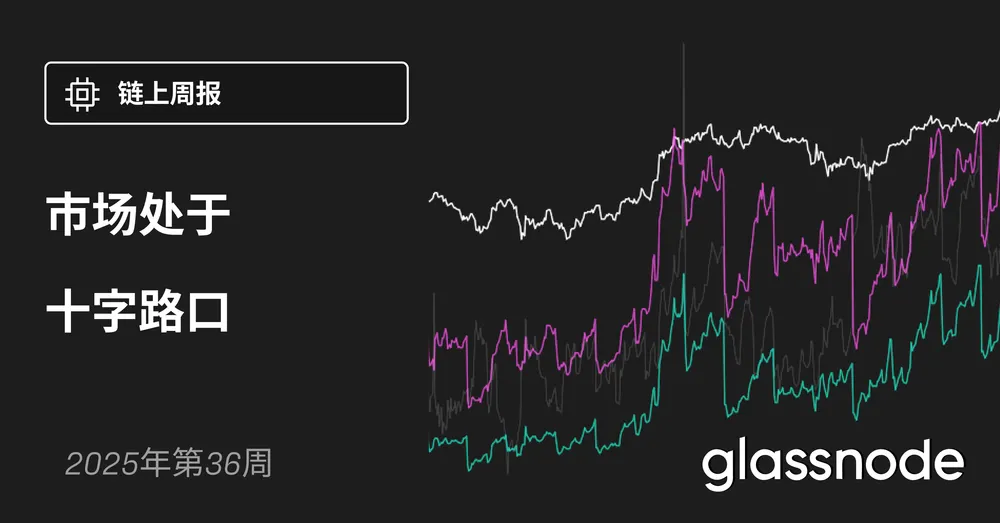 市场处于十字路口