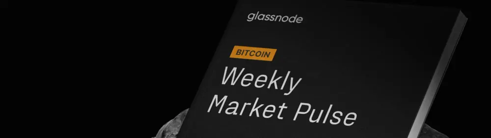 BTC Market Pulse: Week 44