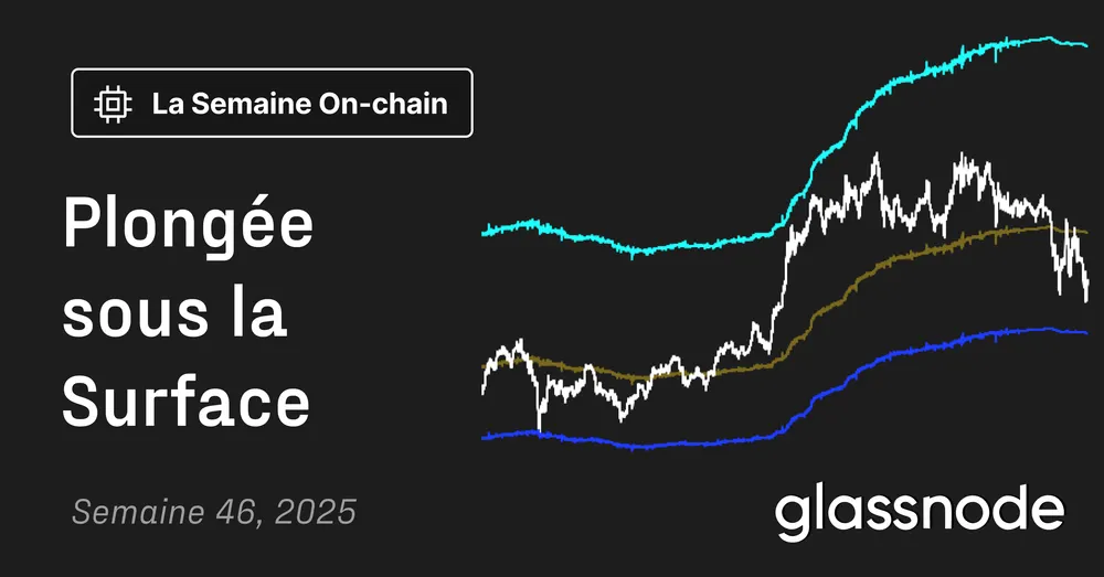 Plongée sous la Surface