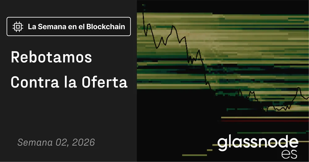 Rebotamos Contra la Oferta