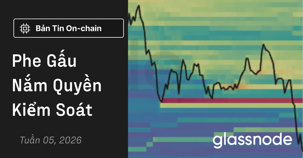 Phe Gấu Nắm Quyền Kiểm Soát