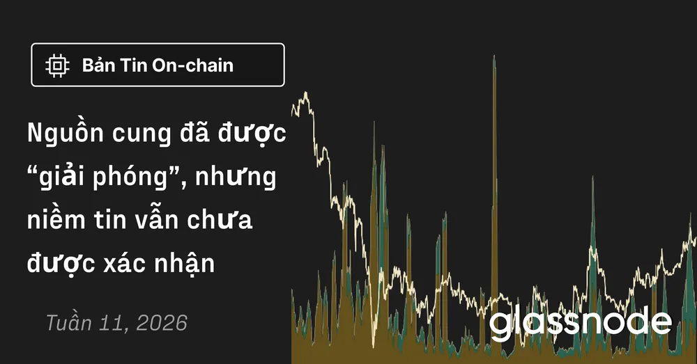 Nguồn cung đã được “giải phóng”, nhưng niềm tin vẫn chưa được xác nhận