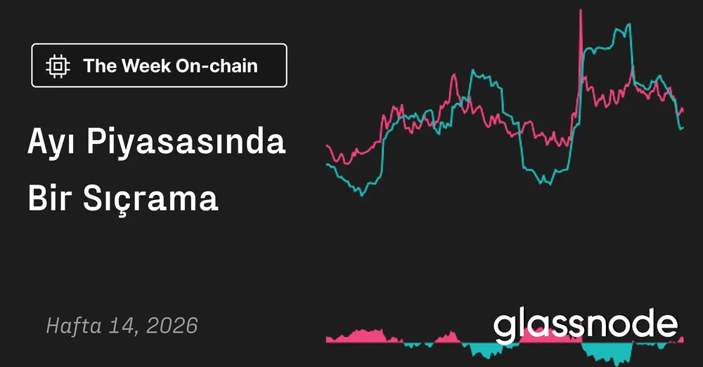 Ayı Piyasasında Bir Sıçrama