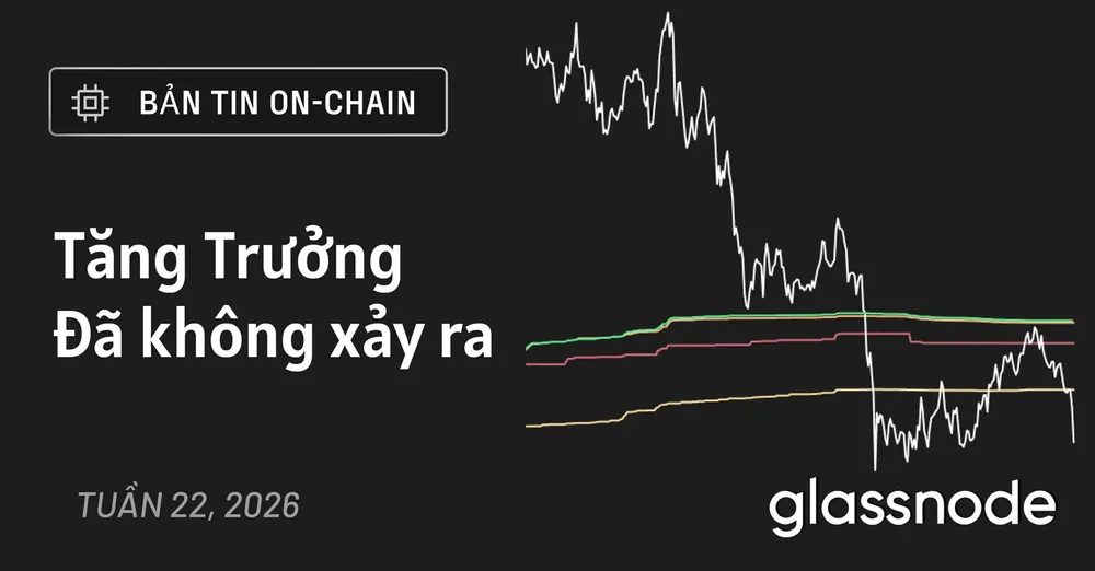 Tăng trưởng đã không xảy ra