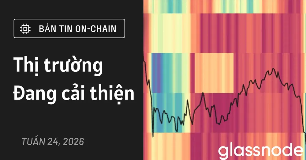 Thị trường đang cải thiện