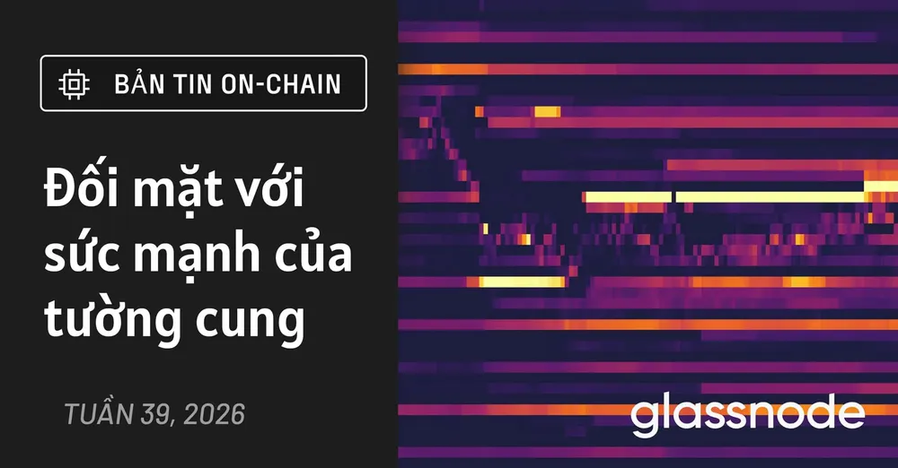 Đối mặt với sức mạnh của tường cung