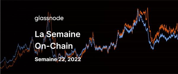 Les HODLers Endurcis Doublent la Mise