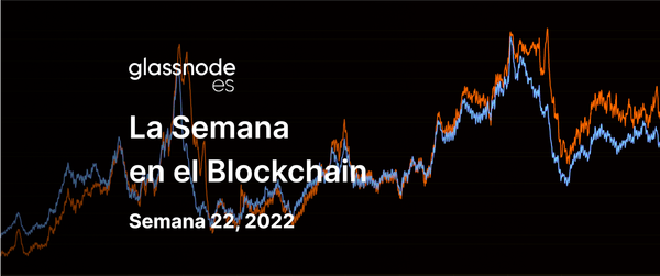 Los HODLers Curtidos Doblan la Apuesta
