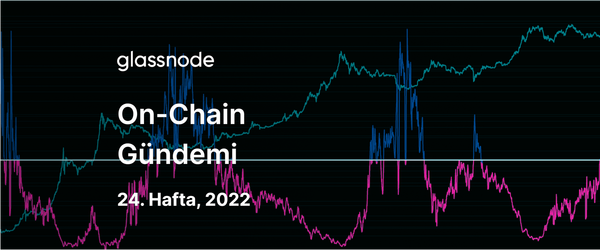 Ayının En Karanlık Aşaması