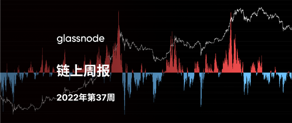 从熊市低点开始的反弹