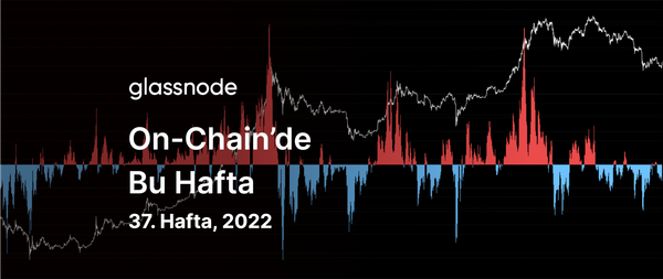 Ayı Piyasasında Bir Ralli