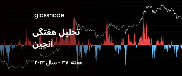 جهشی کوتاه مدت در کف فاز خرسی