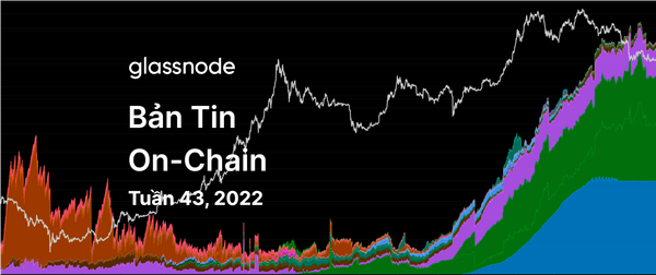 Kịch Bản Tăng Giá Và Giảm Giá