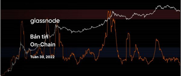 Sự Thanh Lọc Trên Toàn Thị Trường