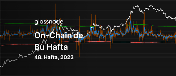 Kapitülasyonun Doğası