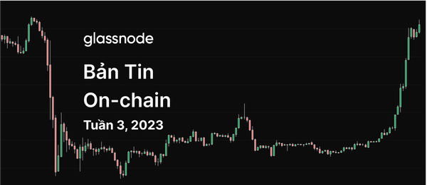 Bitcoin Hồi Phục?