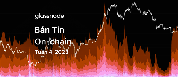 Cơ Hội Hay Cạm Bẫy?