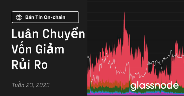 Luân Chuyển Vốn Giảm Rủi Ro