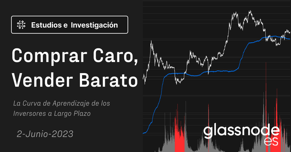 Comprando Caro y Vendiendo Barato: La Curva de Aprendizaje del Inversor a Largo Plazo