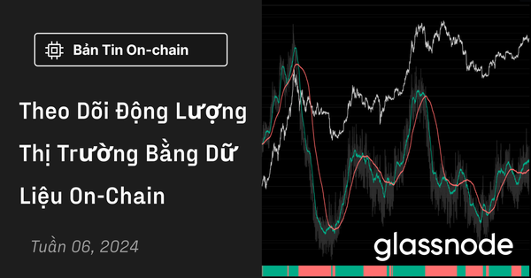 Theo Dõi Động Lượng Thị Trường Bằng Dữ Liệu On-Chain