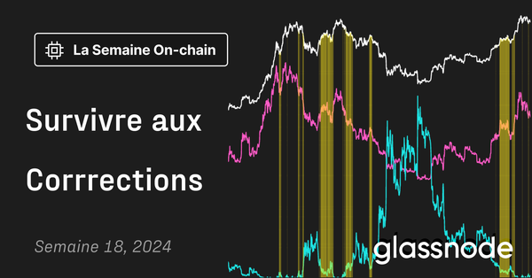 Survivre aux Corrections