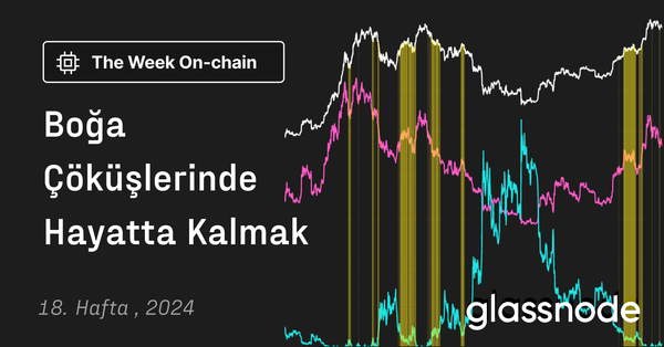 Boğa Çöküşlerinde Hayatta Kalmak