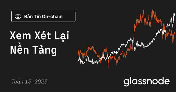 Xem Xét Lại Nền Tảng