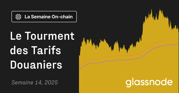 Le Tourment des Tarifs Douaniers
