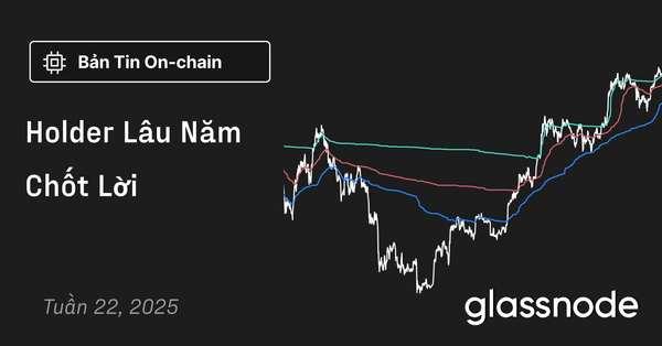 Holder Lâu Năm Chốt Lời
