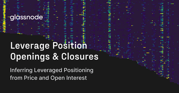 Inferring Leveraged Positioning from Price and Open Interest