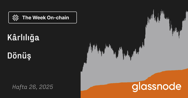 Kârlılığa Dönüş